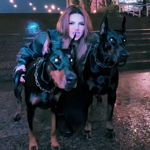 陈冠希张柏芝视频云盘
