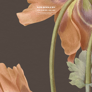 陈冠希张柏芝视频云盘
